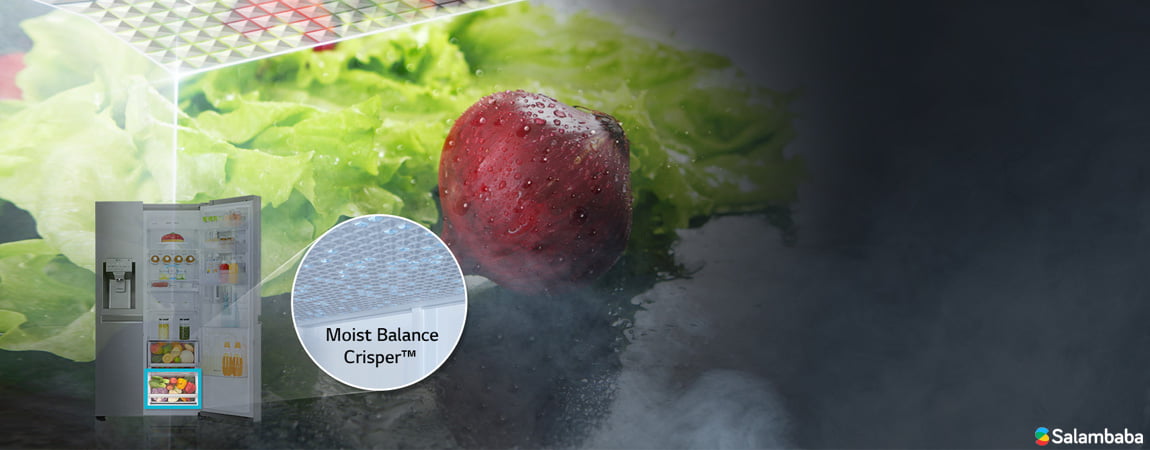 حفظ رطوبت میوه و سبزیجات با قابلیت Moist Balance Crisper در یخچال دو قلو ال جی B404-F401